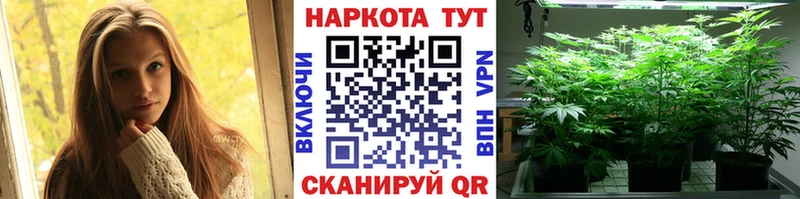 Магазины продажи наркотиков Коряжма Alpha-PVP Мефедрон ГАШ Конопля
