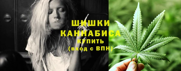 стаф Елабуга