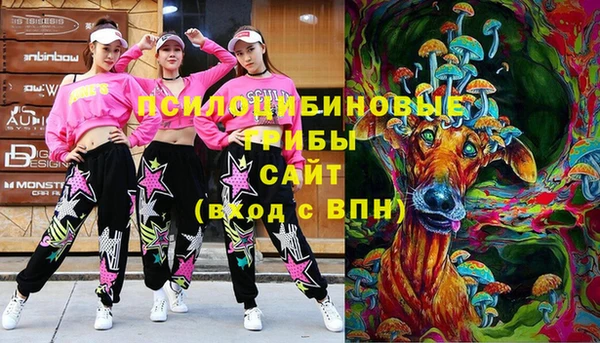 дмт Алексеевка