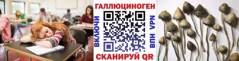 Псилоцибиновые грибы GOLDEN TEACHER Коряжма