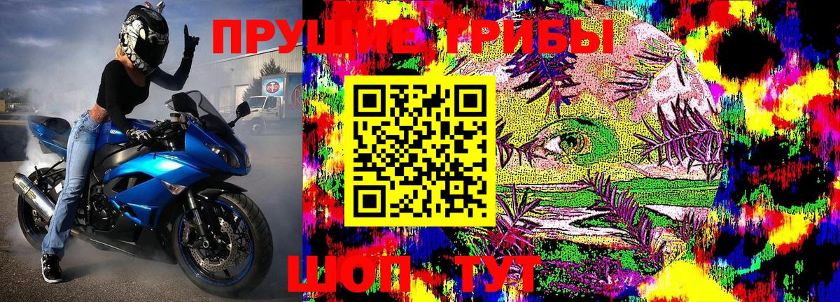 Коряжма  Галлюциногенные грибы MAGIC MUSHROOMS  Вход с VPN 