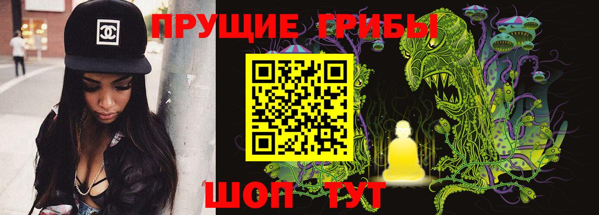 Бошки Шишки Коряжма