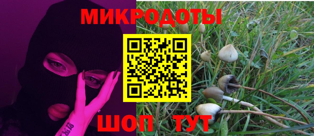 Псилоцибиновые грибы мицелий Коряжма