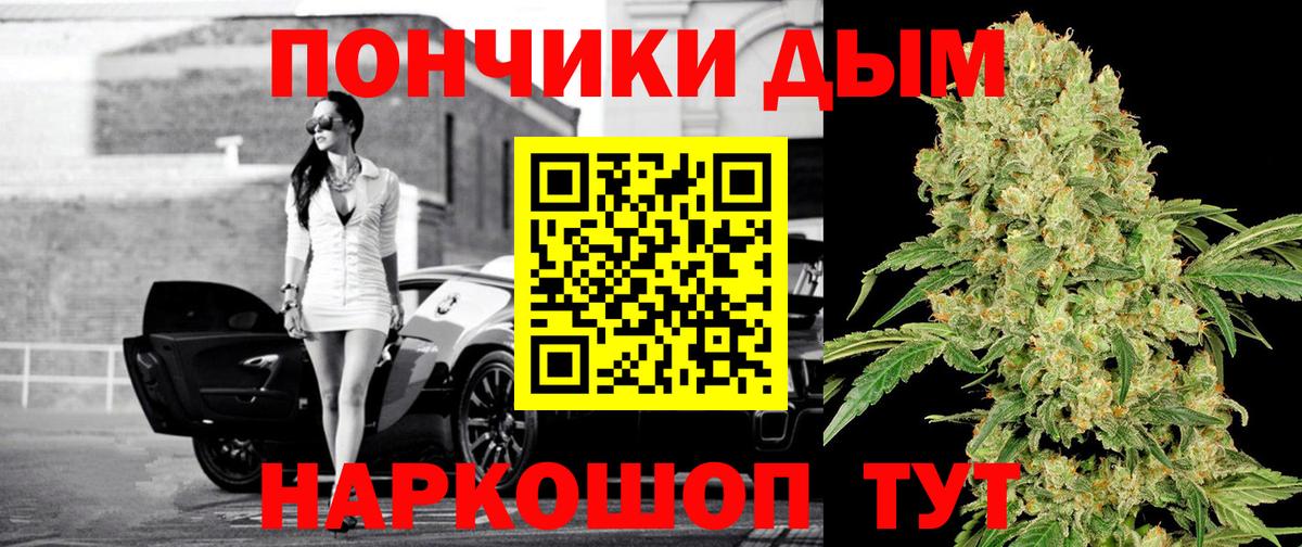 Коряжма  Канабис марихуана  Канабис гибрид  Марихуана Bruce Banner  Вход с VPN 